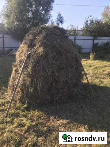 Сено Благовещенск - изображение 1