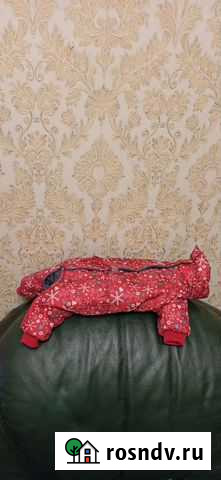 Продам комбинезоны для собак Новосибирск - изображение 1