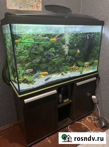Аквариум Каменск-Уральский - изображение 1