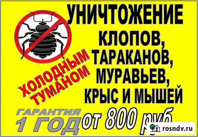 Дезинфекция.Обработка от Клопов,Тараканов,Муравьев Бийск - изображение 1