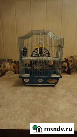 Клетка для попугаев + принадлежности для питомцев Ульяновск - изображение 1