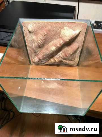 Террариум Челябинск - изображение 1