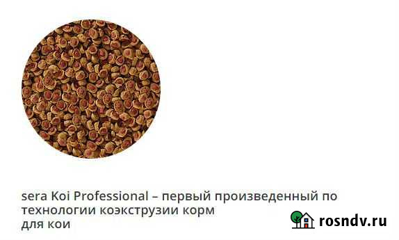 Фильтр для аквариума.корма для черепах.ежей.рыб Братск - изображение 1