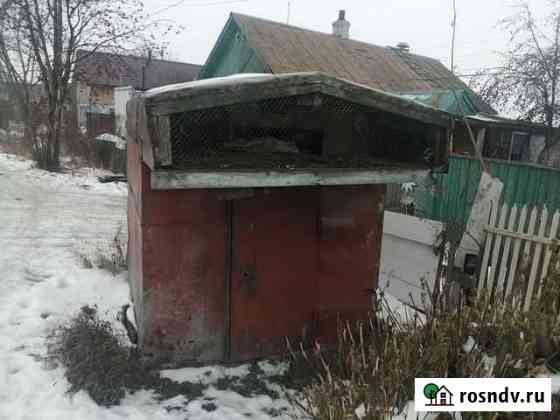 Голубятня Копейск