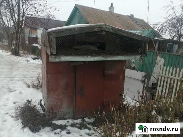 Голубятня Копейск - изображение 1