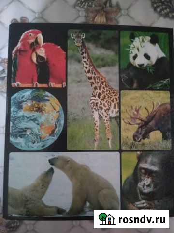 Атлас в мире дикой природы Каменск-Шахтинский - изображение 1