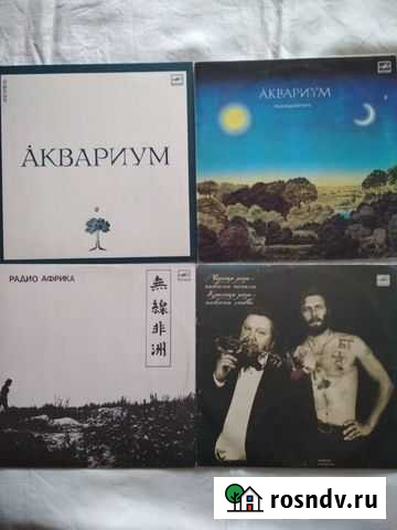 Аквариум Казань - изображение 1