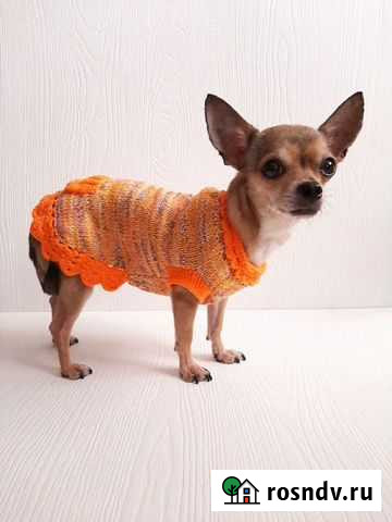 Платье для собак Волжский - изображение 1