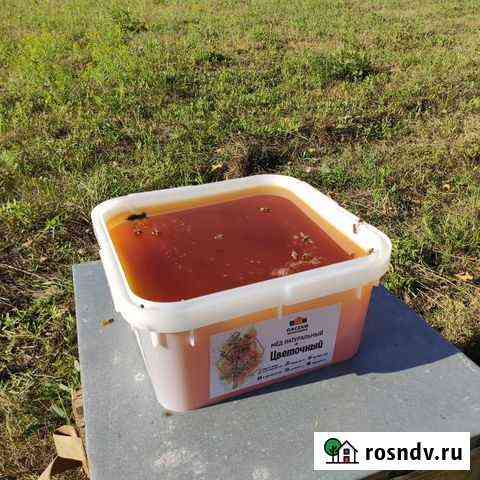 Мед оптом Нижний Новгород