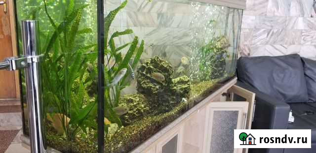 Аквариум 380 литров Красноярск - изображение 1