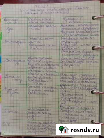 Пишу конспекты Йошкар-Ола - изображение 1