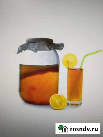 Чайный гриб Рязань - изображение 1