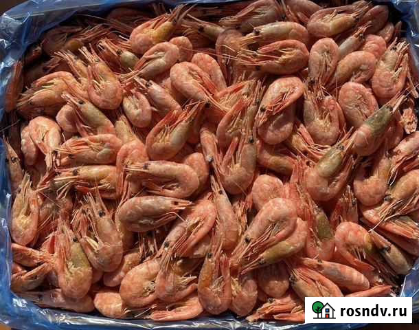 Северная креветка Уфа - изображение 1