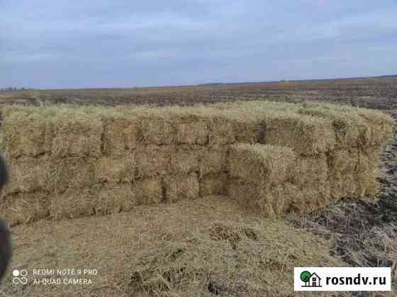 Солома в тюках Фершампенуаз