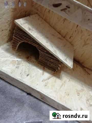 Террариум для черепахи или любой другой рептилии Благовещенск - изображение 1