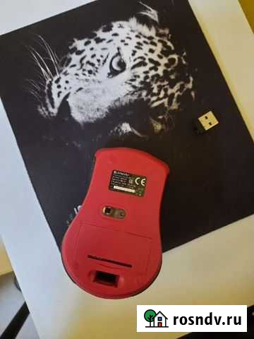 Мышь с ковриком Саранск - изображение 1