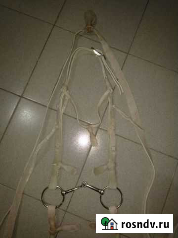 Сбруя Отрадная - изображение 1