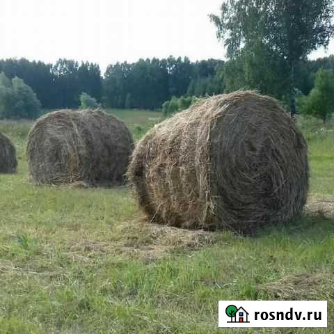 Продам сено в рулонах Благовещенск - изображение 1
