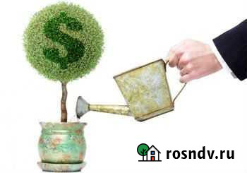 Действующий бизнес Белгород - изображение 1