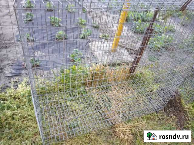 Клетки Кропоткин - изображение 1