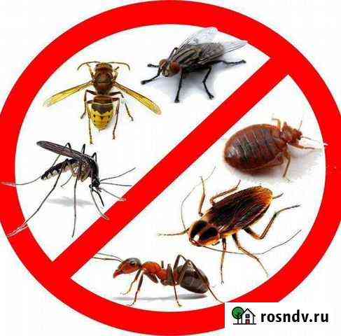 Сэс Обработка от клопов, тараканов, клещей Березники