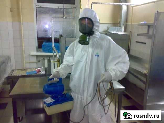 Удаление плесени, антибактериальная обработка Махачкала - изображение 1