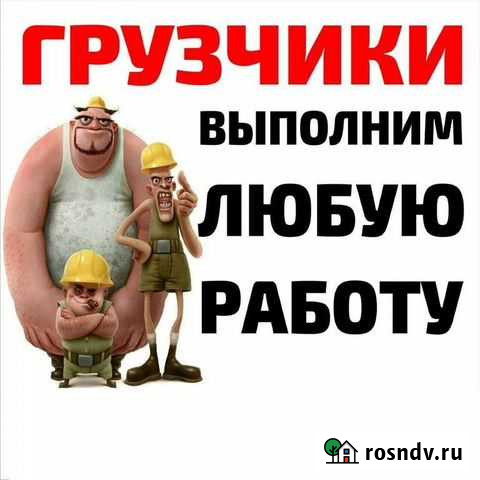 Грузчики разнорабочии Вологда - изображение 1