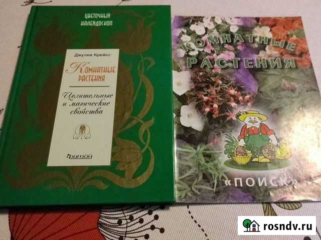 Комнатные растения. Целительные свойства Сочи - изображение 1