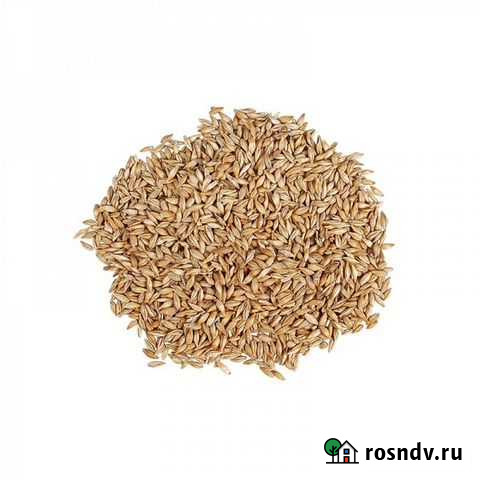 Солод Венский (Курский солод) 1 кг Ногинск - изображение 1