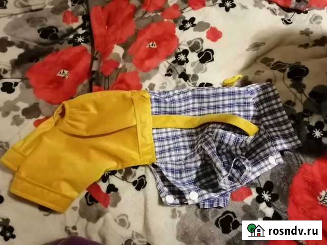 Одежда для собак Курск - изображение 1