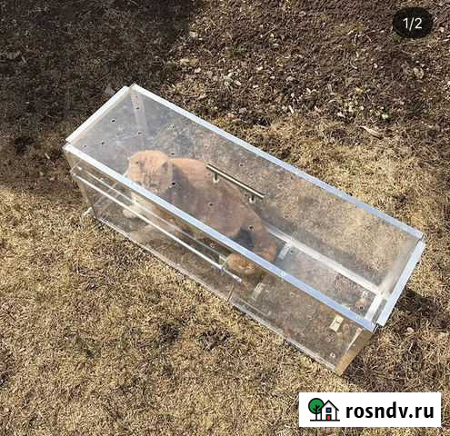 Котоловка Павловская Слобода - изображение 1