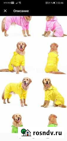 Дождевик для собаки Ковров - изображение 1
