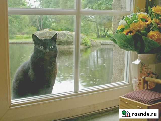 Пластиковые окна Тула - изображение 1