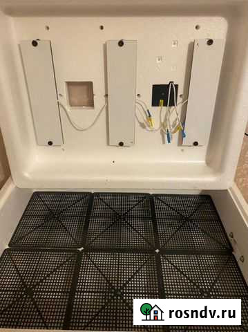 Инкубатор Мурино - изображение 1