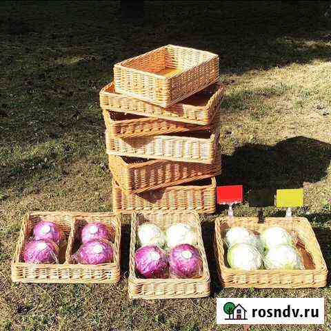Ценникодержатели и плетеные корзины для магазинов Ростов-на-Дону