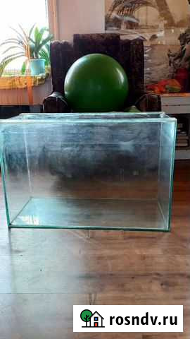 Террариум Уфа - изображение 1