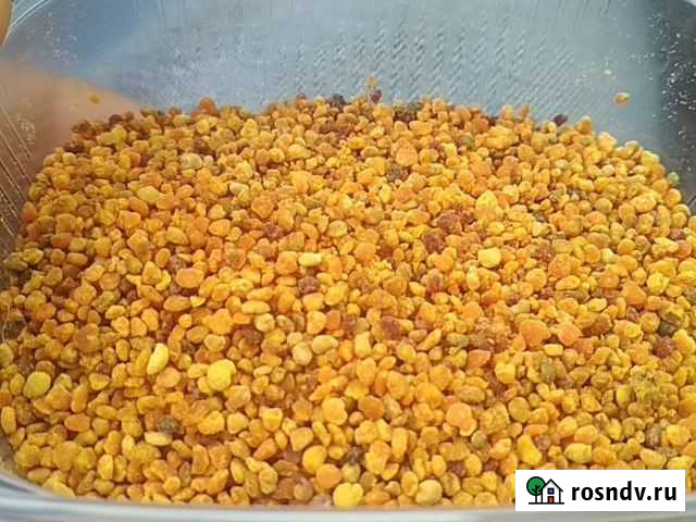 Пыльца пчелиная 2021 Ростов-на-Дону - изображение 1