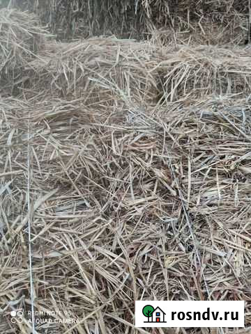 Сено с люцерной Нарткала - изображение 1