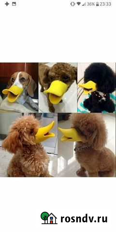 Намордник для маленьких собак Самара - изображение 1