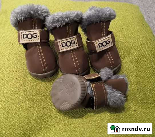 Обувь для маленьких собак Ковров - изображение 1