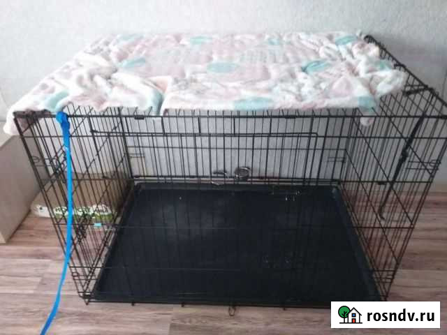 Клетка котоловка аренда или бесплатно Краснодар - изображение 1