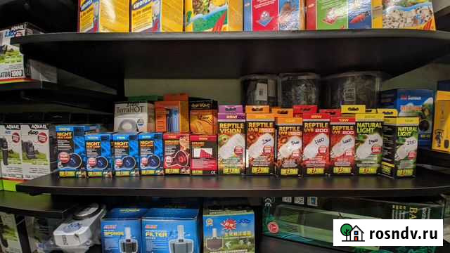 Инфракрасная лампа. Уф лампа для рептилий Воронеж - изображение 1