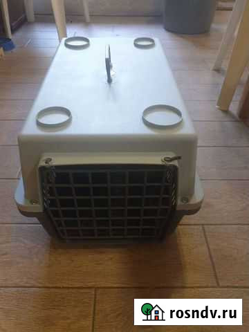 Переноска для животных Сочи - изображение 1
