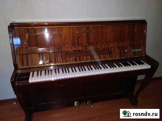 Музыкальный инструмент ищет хозяйна -чит.текст Москва - изображение 1