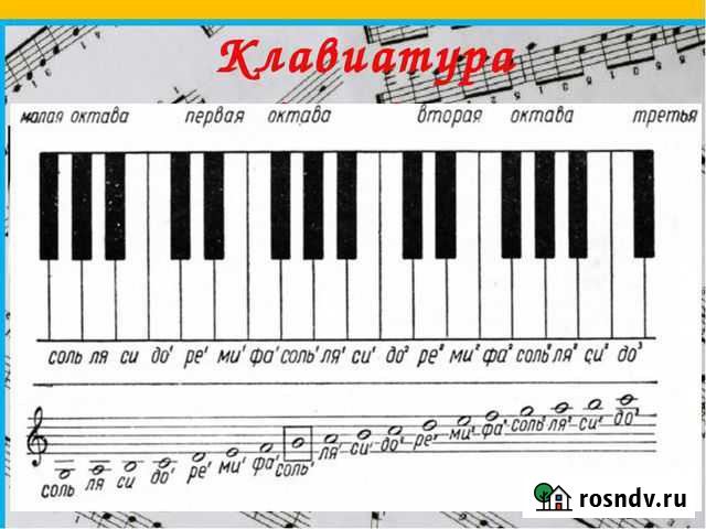 Ремонт,настройка пианино,рояля помощь в выборе Томск - изображение 1