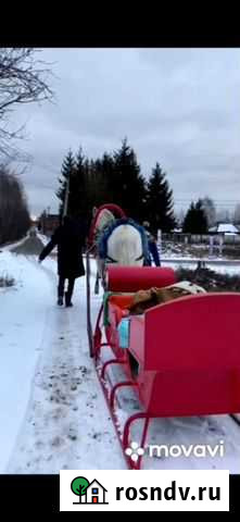 Продам Сани Раменское - изображение 1