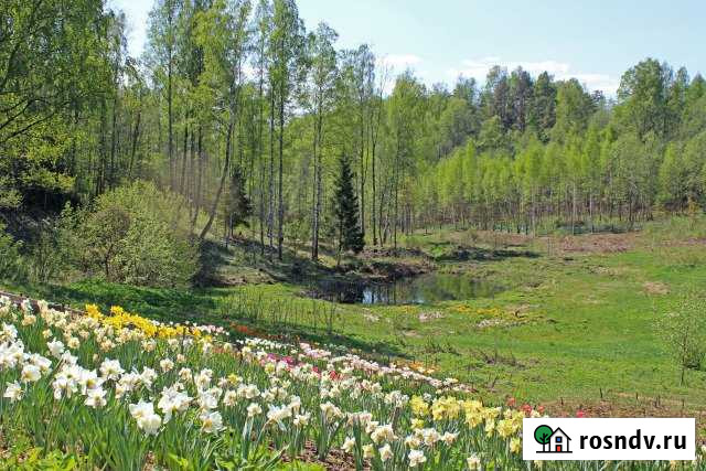 Участок СНТ, ДНП 1000 сот. в аренду в Гарболово Гарболово - изображение 1