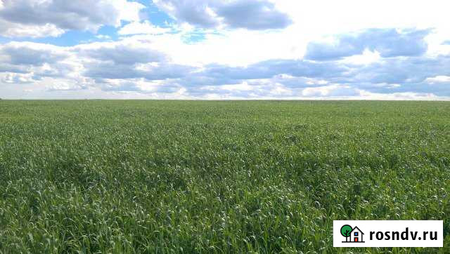 Участок СНТ, ДНП 1500 сот. на продажу в Николаевке Ульяновской области Николаевка - изображение 1