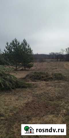 Участок СНТ, ДНП 12 сот. на продажу в Запрудне Запрудня - изображение 1