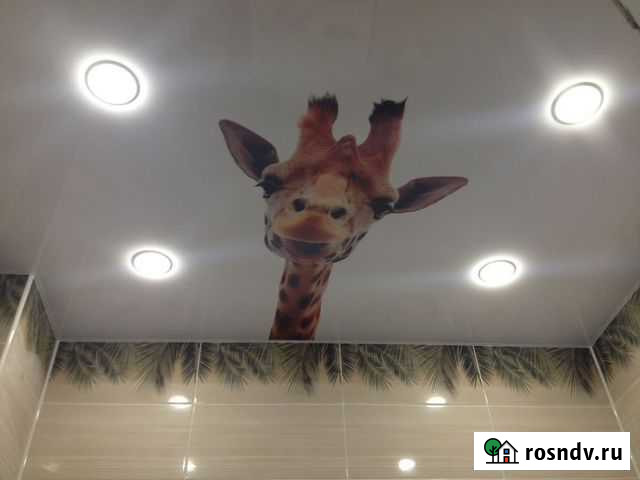 Натяжные потолки Вологда - изображение 1